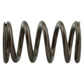 Industrial Injection 98-24 Cummins 24 Valve 95 LB Performance Valve Springs | PDM-160-1484S-24