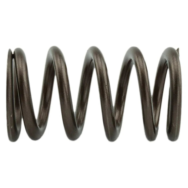 Industrial Injection 98-24 Cummins 24 Valve 95 LB Performance Valve Springs | PDM-160-1484S-24