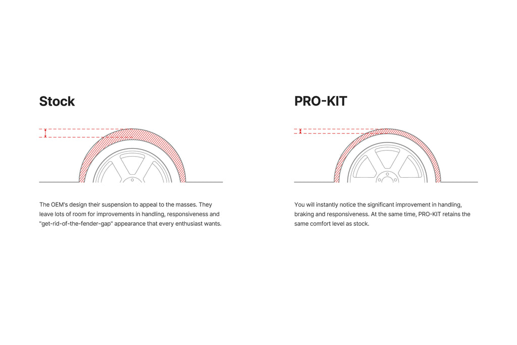EiBach 2015-2024 Dodge Charger/Challenger  Pro-Kit Lowering Springs | E10-27-008-02-22